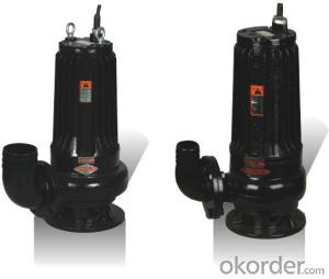 WQ Series Pond Sewage Pump with Competitive Price