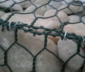 PVC Coated Gabion Box/Hexagonal Wire Mesh Hot Sale Superior Quality System 1