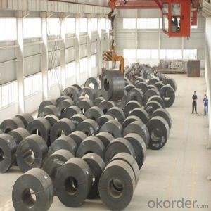 Hot Dipped Cold Rolled Steel Coil Chinese Supplier System 1