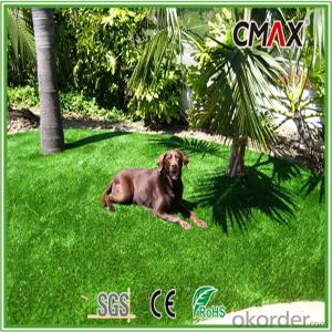 30mm Pet Grass with 3/8 inch with New Coming