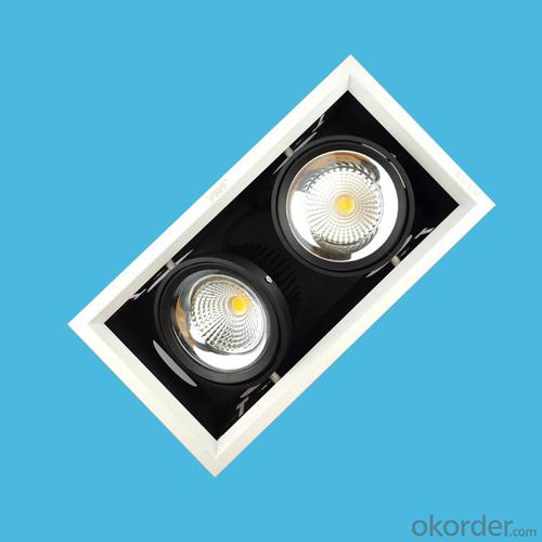 Indoor lighting AR111 LED Grille Spotlight Double-headed 2*20W System 1