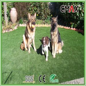 20mm Pet Grass with 3 Colors,1100Dtex with Environment Friendly System 1