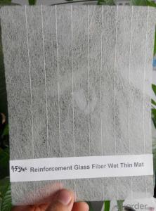 Glass Fiber Chopped Strand Mat/Fiberglass Mat/Emulsion or Powder Mat