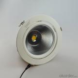 40W LED Trunk lamp,Led COB adjustable angle Downlight