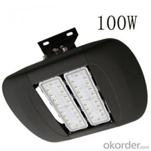 100LM/W 100W LED tunnel light IP67 high power outdoor lighting System 1