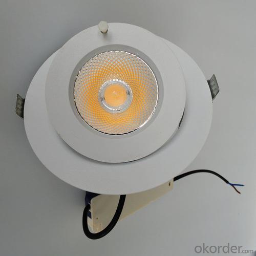 30W Led COB Trunk Lamp use for Retail lighting and Clothing lighting System 1