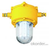 Mining Explosion Proof and Intrinsically Safe LED Roadway Lights(G)