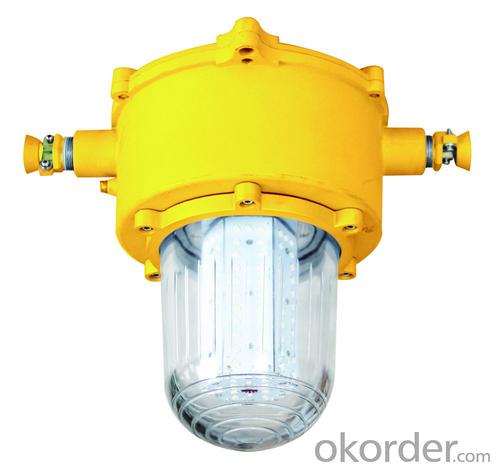 Mining Explosion Proof and Intrinsically Safe LED Roadway Lights(G) System 1