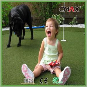 Pet Grass Landscape Artificial Turf with Good Drainage