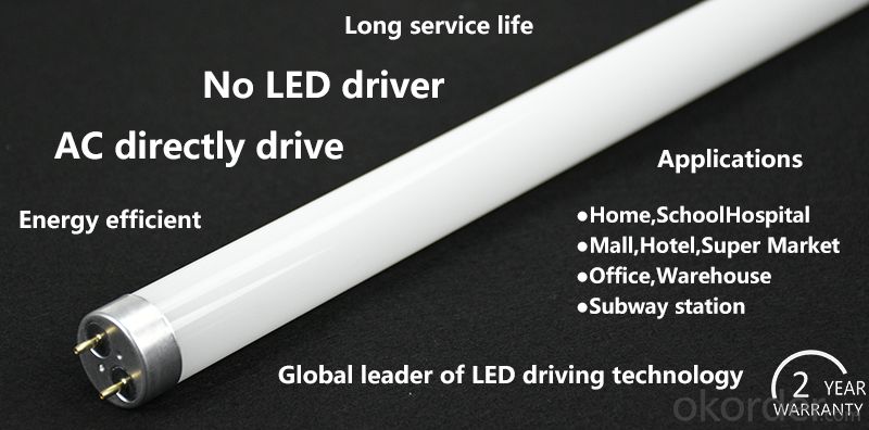 AC drive LED T8 tube Super long service life high luminance
