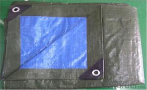 PE Woven Tarpaulin with Sun-Resistant Factory System 1