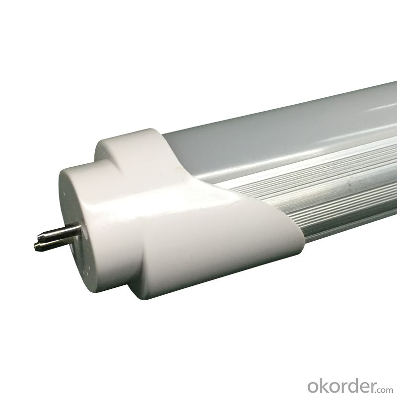 Indoor T8 LED White Light Tube Lamp 18W 1.2M