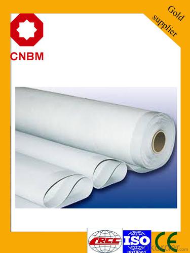 SBS/APP Modified Bitumen Waterproof Membrane- Hot Sell In South East Asia System 1