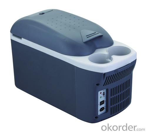 Thermoelectric Cooler and Warmer Mini Fridge 8L System 1