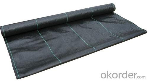 PP Woven Geotextile/ Groundcover/ Weed Barrier Fabric System 1