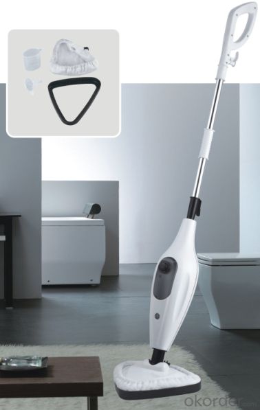 steam mop with single function as shown on TV sale