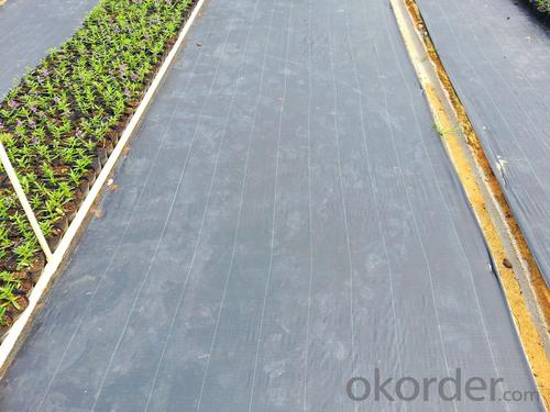 Geotextil Nt2000 PP Woven Fabric / Groundcover / Weed Barrier Fabric for Agriculture System 1