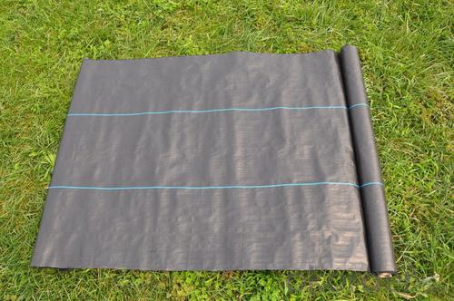 PP Woven Fabric/ Groundcover/ Weed mat Fabric System 1