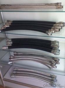 China Explosion Protected Stainless Steel Flexible Tube