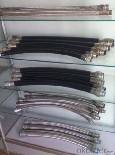 China Explosion Protected Stainless Steel Flexible Tube System 1