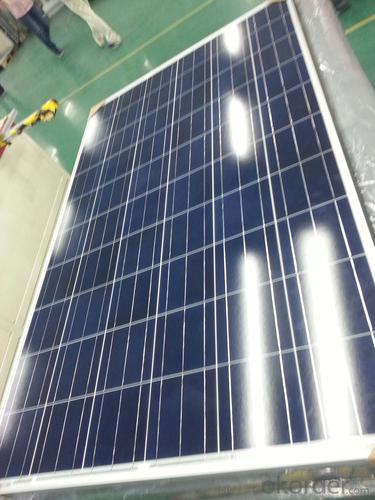 Renogy Solar Panels 200w - 290w Poly Solar Panel for Home Use and Power Plant System 1