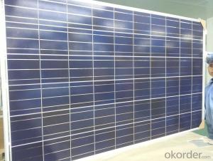 305w Poly Solar Panel For Home Use And Power Plant System 1