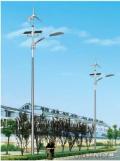 Wind and solar hybrid street lamp system High quality complementary led solar street lights