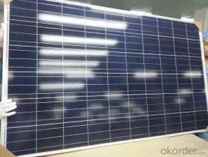 295w Poly Solar Panel For Home Use And Power Plant System 1