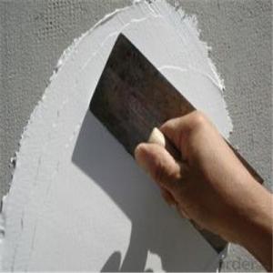 Stainless Steel Plastic Handle Paint Scraper/Putty Knife