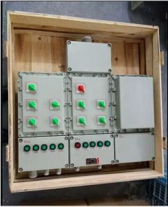Explosion proof electric power distribution box System 1