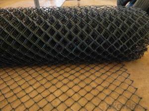 PVC Coated Chain Link Fence/Hot Dipped Galvanized Chain Link Fence