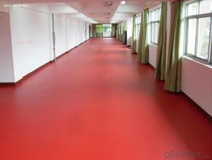 Vinyl Flooring 2mm/3mm/4mm/5mm Carpet Used Indoor Room