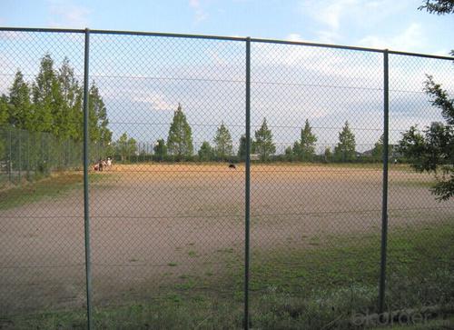 PE-Coated Wire Mesh for Tennis Court, Chain Link Fence System 1