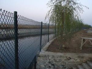 Galvanized Chain Link Fence From Factory in High Quality