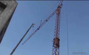 QTK20 Fast Erection Tower Cranes Construction Tower Crane High Quality