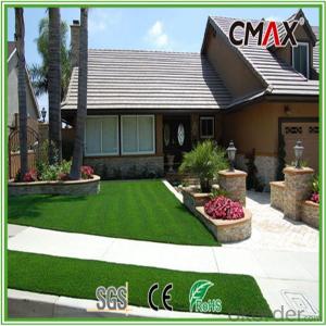 Thick Artificial Grass with W Shape-CGL0046SY System 1