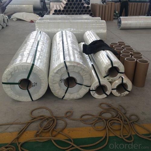 PVC/PU Conveyor Belt Used in Light Industry System 1