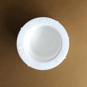 PPR Cap Plastic Pipe Fittings Connecting Civil Construction Agricultural PE Pipes