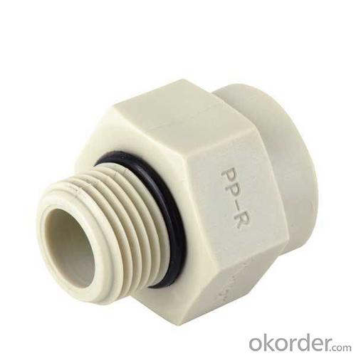 Plastic Pipe and Fittings - PPR Pipe Fitting All-Plastic Reducer Male Thread DG System 1