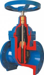 Gate Valve Double Orifice Air Release Valve with Isolate System 1