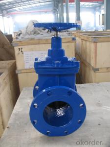 Gate Valve of DCI Ductile Iron with Stainless Steel Mesh