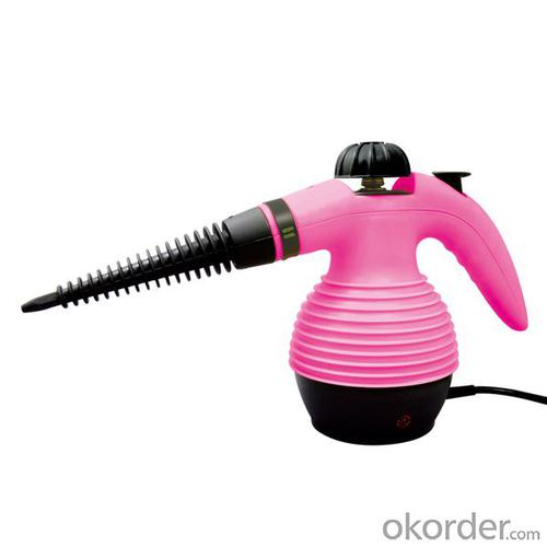 handheld steam cleaner for cleaner YQ3888 System 1