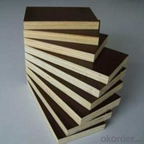 ZNSJ phenolic film faced plywood China exporter System 1