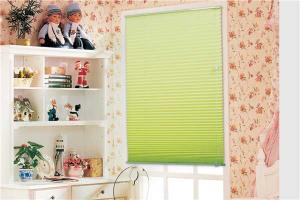 25mm Up and Down Pleated Blind For Home And Office System 1