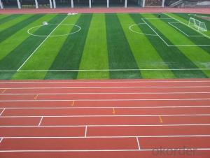 Football or Soccer Artificial Grass/Artificial Turf