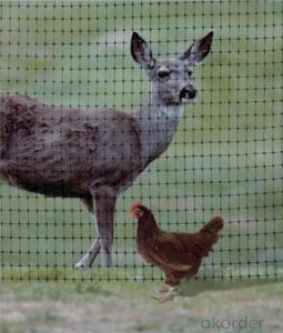 PP Plastic/ Deer Netting for Animals with Virgin Material