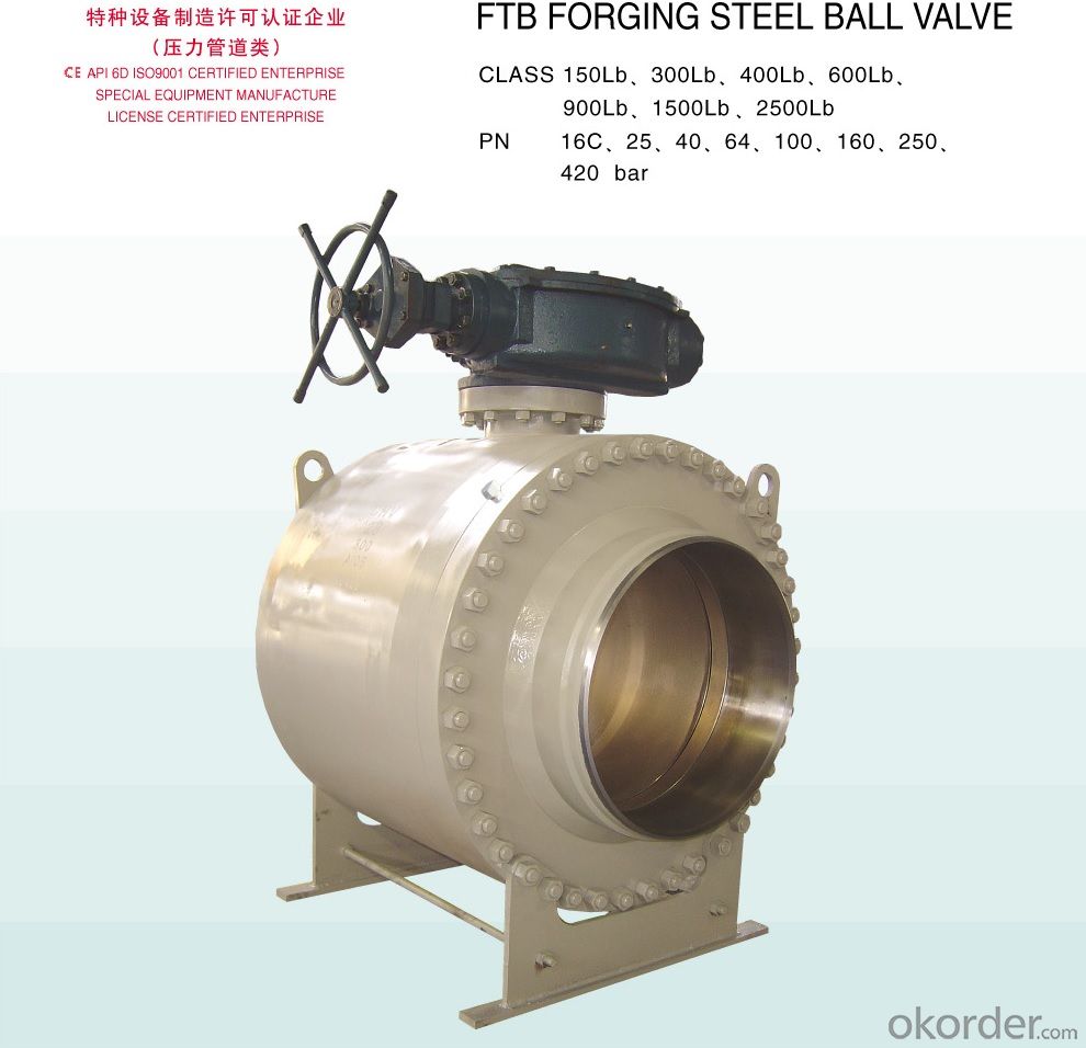 FTB Forging Steel Trunnion Ball Valve  API 6D/CE/ISO9001 CERTIFIED