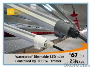 TUV-CE T8 LED Tube High Lumen, Good Price, 5years Warranty 2FT/4FT/5FT System 1