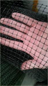 Black Color PP Deer & Bird Net with High Quality System 1
