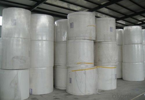 Nonwoven Polyester Mat of Long Fiber Filament System 1